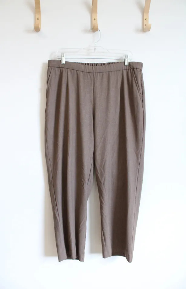 Briggs Earrings Briggs Brown Trouser Pants 16W Petite