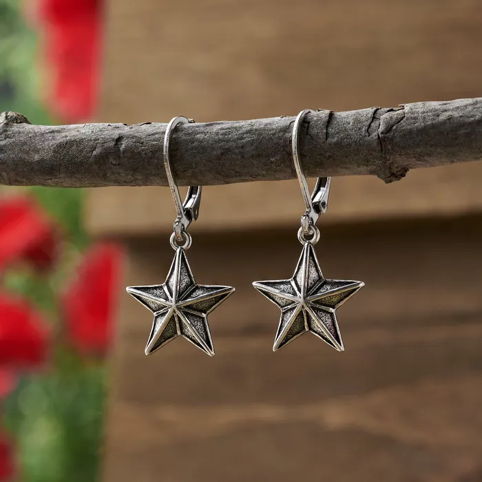 Chadds Ford Jewelry Earrings Vintage Barn Star Leverback Earrings