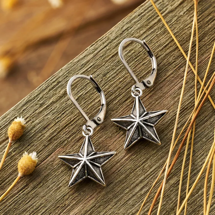 Chadds Ford Jewelry Earrings Vintage Barn Star Leverback Earrings