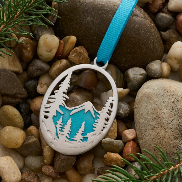 Chadds Ford Jewelry Rings Forest Mountain Ornament Gift Set
