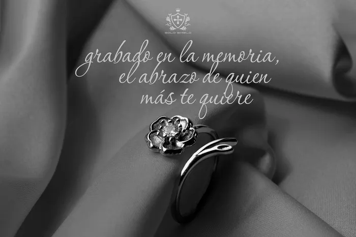 Earrings Gold Shield Anillos de Plata 925 y Flor de Cerezo