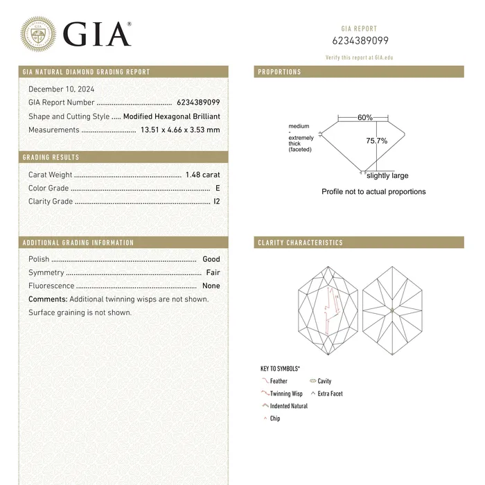 Earrings Misfit Diamonds 148ct 1351x466x353mm GIA I2 E Hexagon Brilliant 2591001