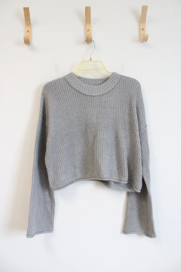 Earrings NEW Wild Fable Gray Cropped Sweater L Wild Fable