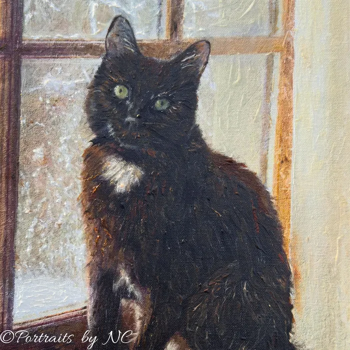 Earrings Portraits by NC A Winter Cat Portrait to Remember