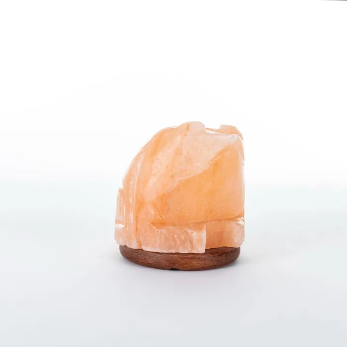 Earrings Salt Lamp AnimalShaped Salt Lamp