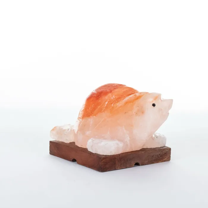 Earrings Salt Lamp AnimalShaped Salt Lamp