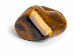 GEOCENTRAL Earrings Tigers Eye