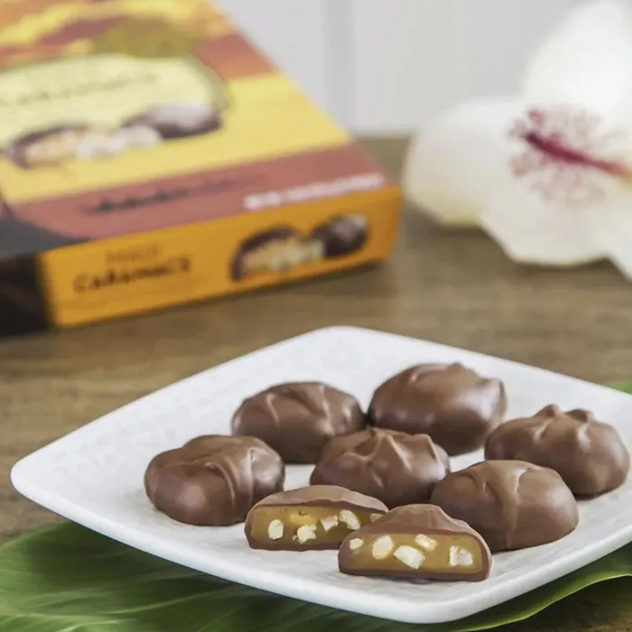 Hawaiian Host Maui Caramacs Milk Chocolate Caramel Macadamia Nuts HAWAIIANHOST Earrings