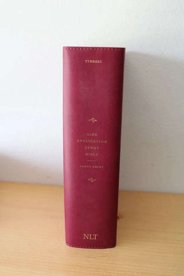 Life Application Study Bible Third Edition Large Print New Living Translation Jubilee Thrift Earrings