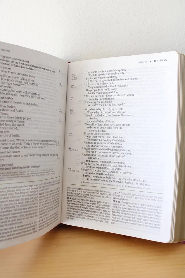 Life Application Study Bible Third Edition Large Print New Living Translation Jubilee Thrift Earrings