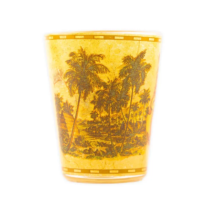 MADDENCORP Earrings Toothpick Holder Hawaiian Islands
