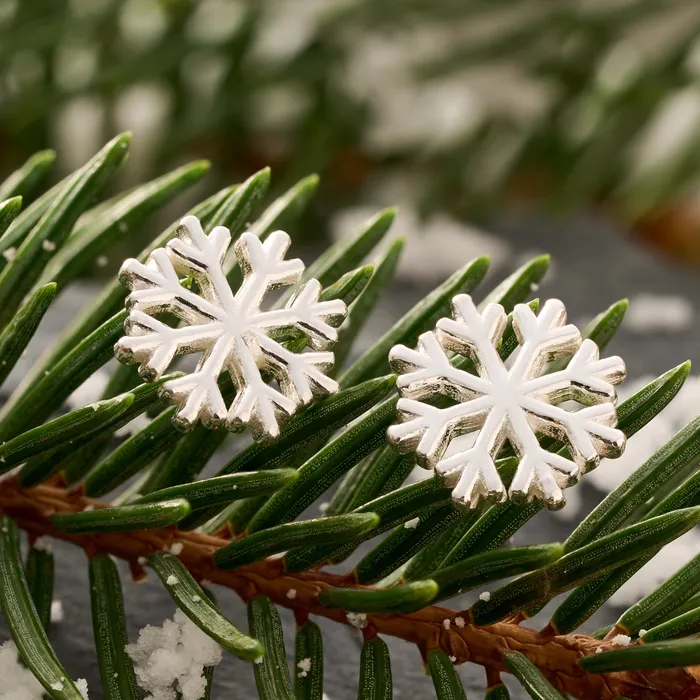 Necklaces Chadds Ford Jewelry Sterling Silver Snowflake Studs