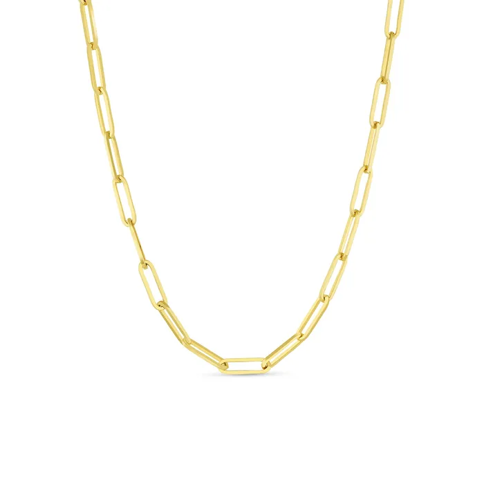 Necklaces Consider the Wldflwrs Paper Clip Chain Necklace