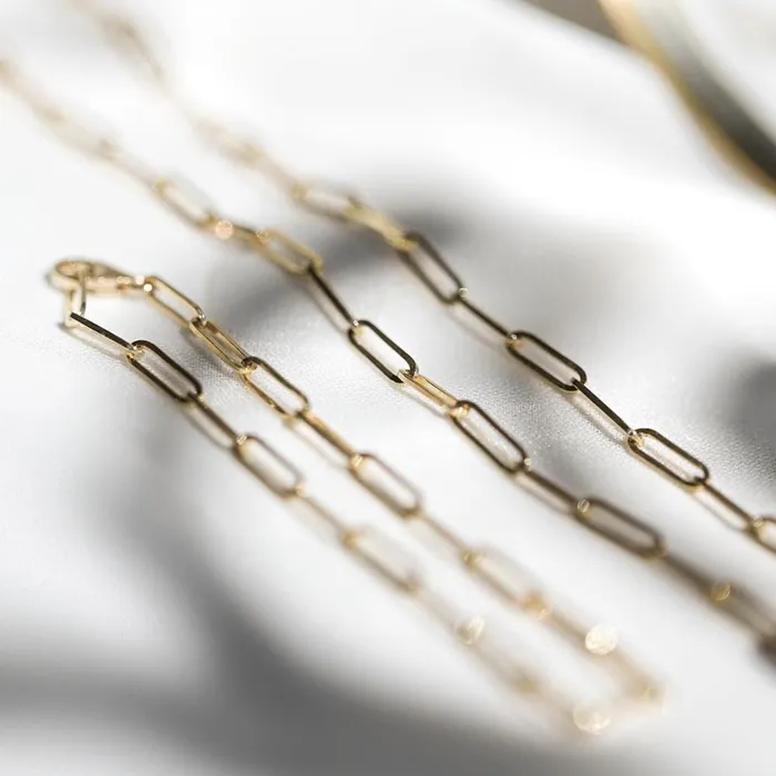 Necklaces Consider the Wldflwrs Paper Clip Chain Necklace