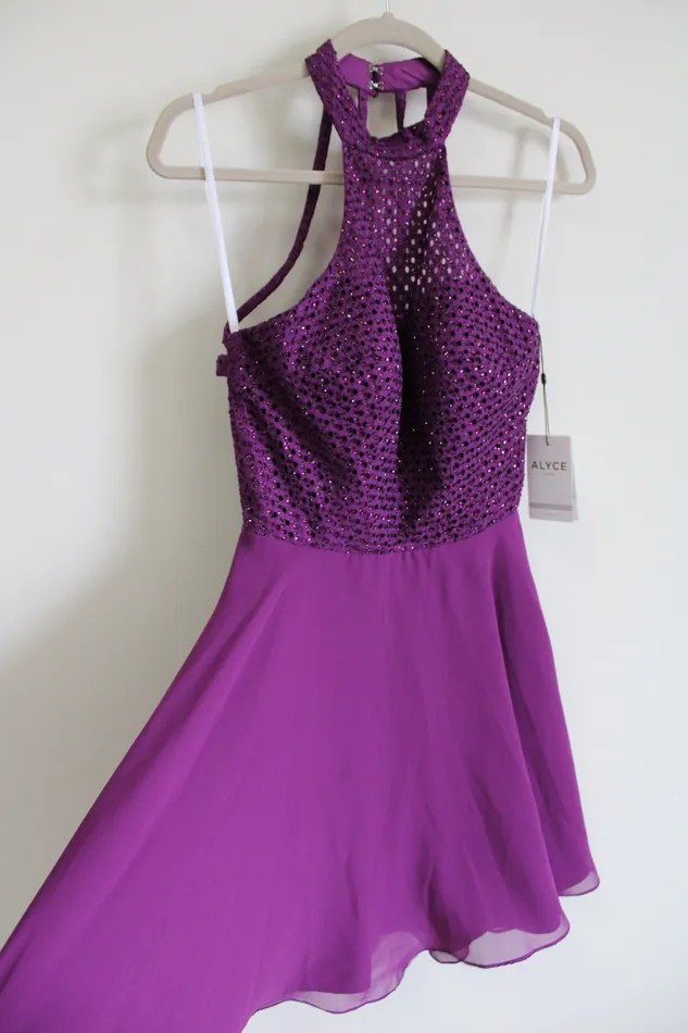 NEW Alyce Paris Purple Plum Chiffon 2652 Dress 6 Alyce Earrings