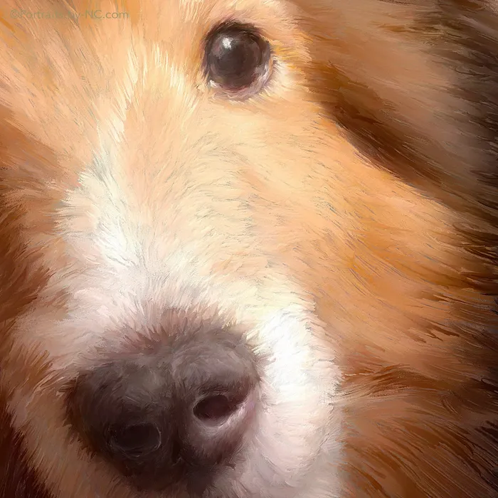 Portraits by NC Custom Sheltie Dog Digital Portrait Necklaces