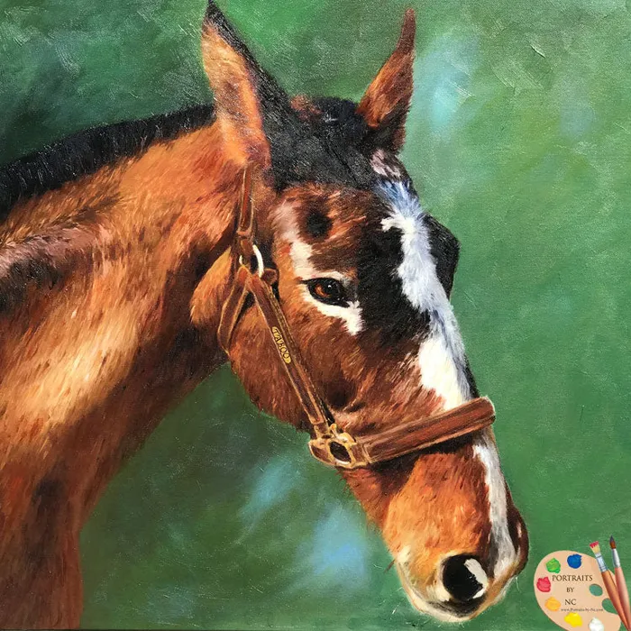 Portraits by NC Earrings Horse Portraits Oil Portrait 591