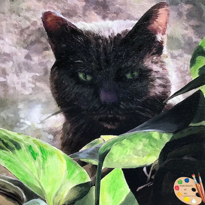 Portraits by NC Necklaces Cat Portrait Digital Portrait