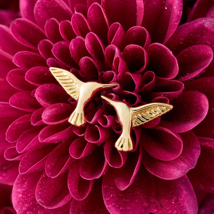 Rings Chadds Ford Jewelry Gold Sterling Silver Hummingbird Studs