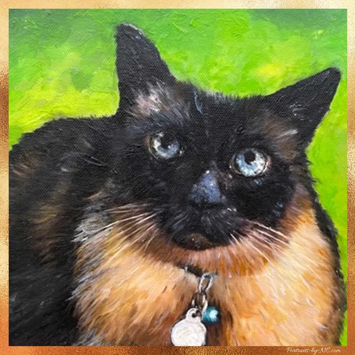Rings Portraits by NC Cat Portrait Mickey Blue Eyes Commissioned Oil Pet Portrait Rings Portraits by NC Cat Portrait Mickey Blue Eyes Commissioned Oil Pet Portrait